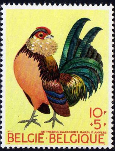 Bantam