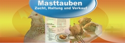 Masttauben