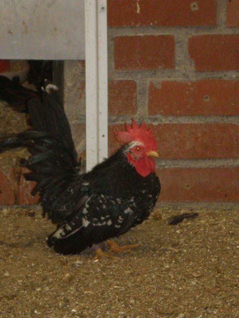 P5300014