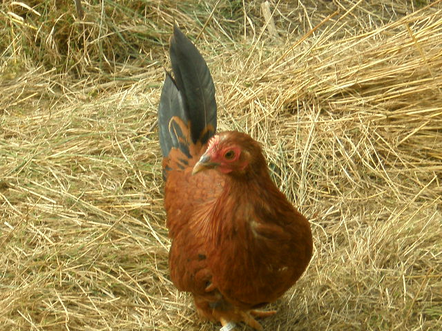P8020102