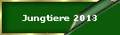 Jungtiere 2013