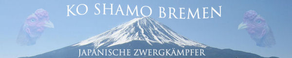 ko-banner_6