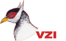 vzi2